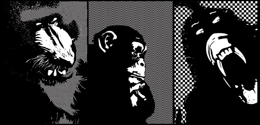Illustration de trois singes